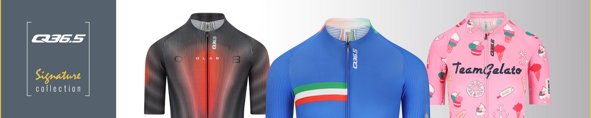 Q36.5 Signature Collection