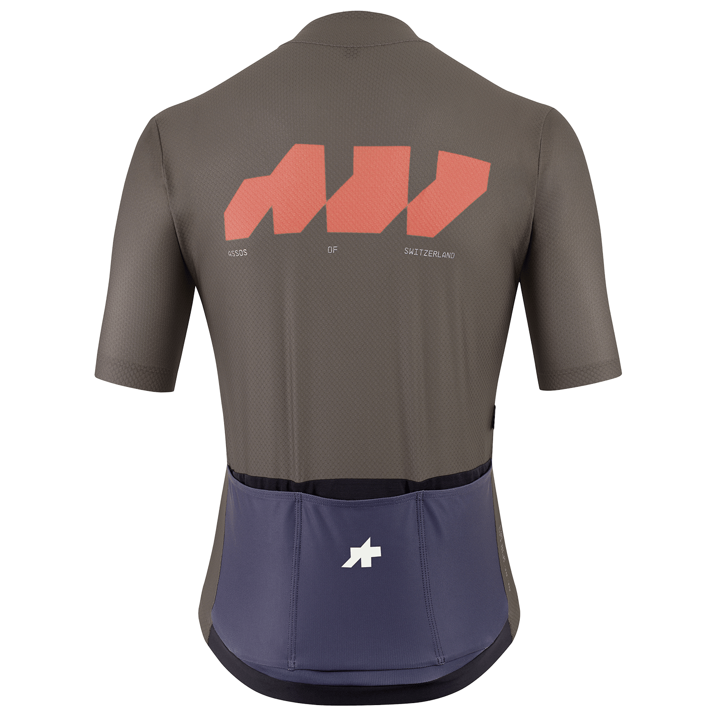 Assos fietsshirt met korte mouwen Equipe R S11 We are the A bruin, foto 2