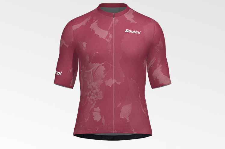 Santini Signature Collection Grapes