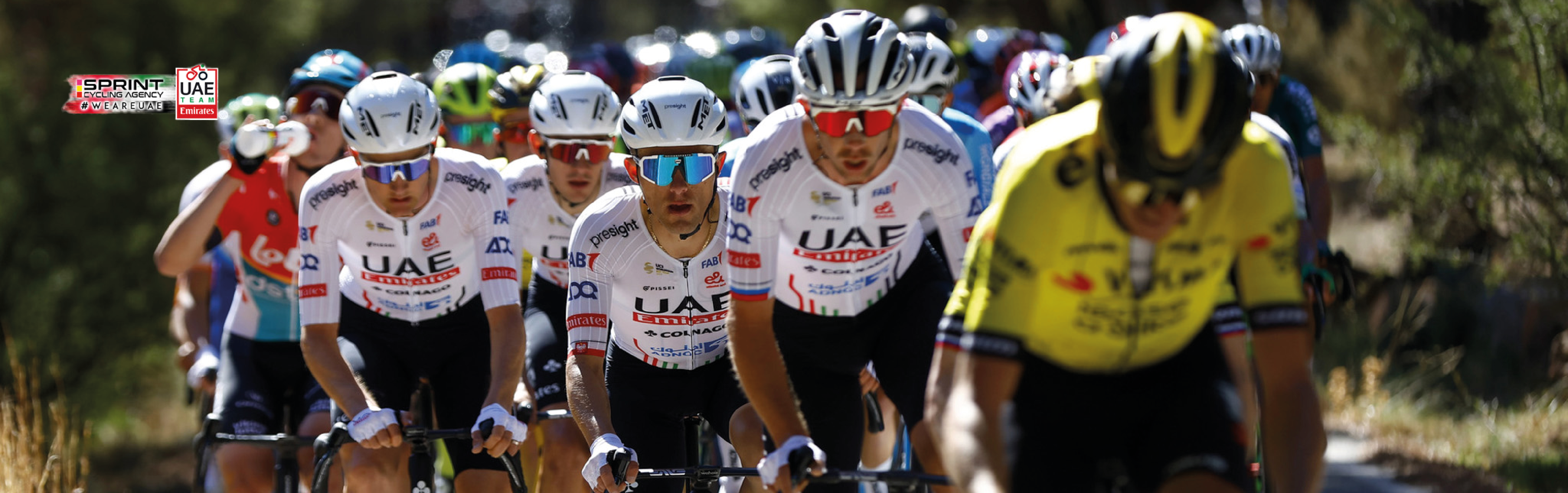 Die Wertungstrikots der Vuelta a España 2026 von Santini – Rot, Grün, Bergtrikot und Weiß